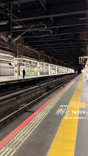 東北新幹線 はやぶさ110号 東京行き | E5系10両, E6系7両 | 大宮駅出発