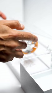 18K views · 256 reactions | Golden Concept on Reels | Facebook