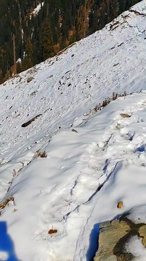 Amazing view | Islam-The beauty of life