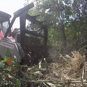 1.4K views · 20 reactions | UML/SSL 150 VT attached to a Takeuchi TL12. #slowmulching #mulchermafia #faeusa #landclearing #mulcher #forestrymulching #takeuchi | FAE USA | Facebook
