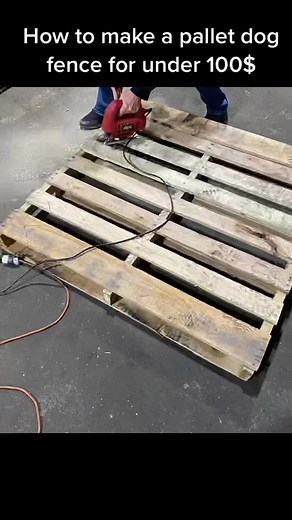 We made a 65 ft temporary dog fence out of pallets that were all FREE! All we needed to buy was stain , rebar, and a gate latch kit. #dog #dogfence #pallet #palletproject #diy #palletfence #fence #reclaimedwood #backyard #fyp #dogpen #dogyard