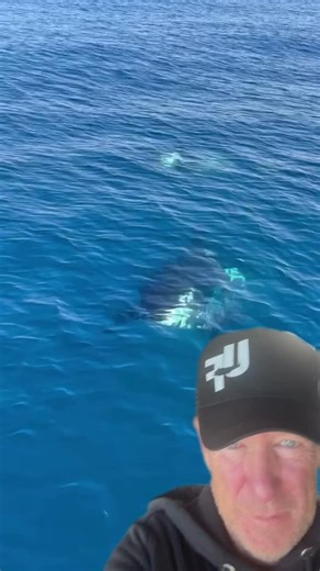 1M views · 1.6K reactions | A lot of people aren’t quite understanding what’s going on here, and fair enough it’s pretty crazy! So here’s a bit more context, and you can see full video on @mattwatson_thefishingguy page and there’s load more stuff like this on our channel #ultimatefishingtv | Ultimate Fishing | Facebook