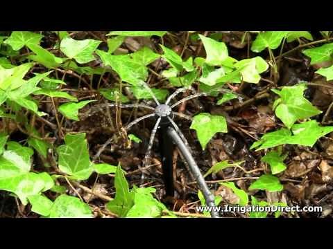 Drip Irrigation Full Circle Stream Spray Bubbler Installed and Watering DD-SR360S