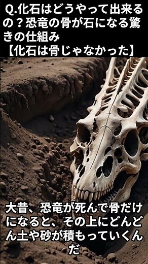 Q.化石はどうやって出来るの？恐竜の骨が石になる驚きの仕組み【化石は骨じゃなかった】#化石 #恐竜 #古生物 #科学 #雑学 #自由研究 #ショート動画
