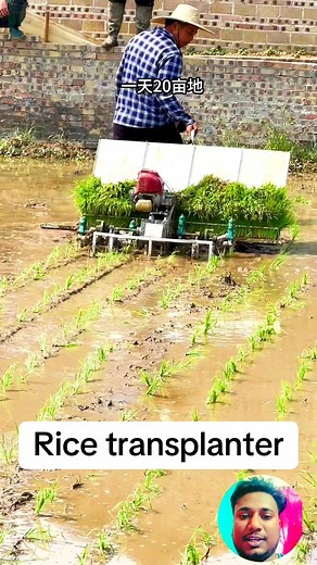 Rice transplanter #agriculture #paddys #riceplanting #machine #farmers #agriculturalmachinery #farming | 𝘽𝙡𝙪𝙚 𝘾𝙝𝙚𝙢𝙥