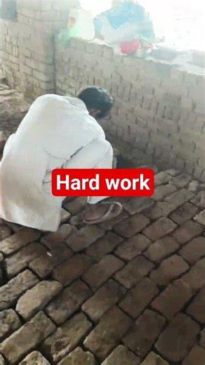 डेयरी फार्म में ईंटों का फर्श कैसे बनाएं? | Dairy Farm Brick Flooring Installation Guide