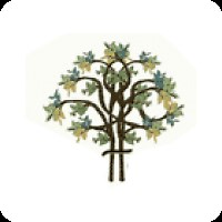 New Day Cottages Assisted Living Pine Creek | Colorado Springs