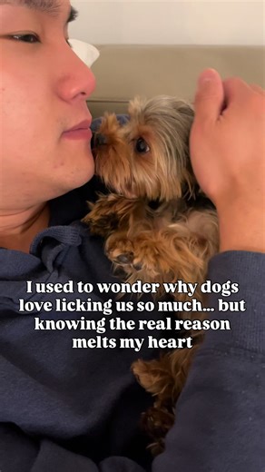 The Meaning Behind Your Dog's Licks: Love and Instinct