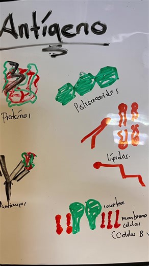 Antigeno #cienciasobredosruedas #bioquimica #biologia #biology #science