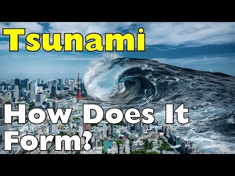 The Hidden Mechanics Behind How Tsunamis Actually Form