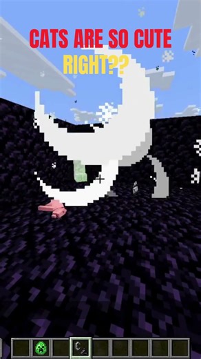 CATS ARE SO CUTE , RIGHT??