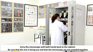 HANDLING THE LIGHT COMPOUND MICROSCOPE