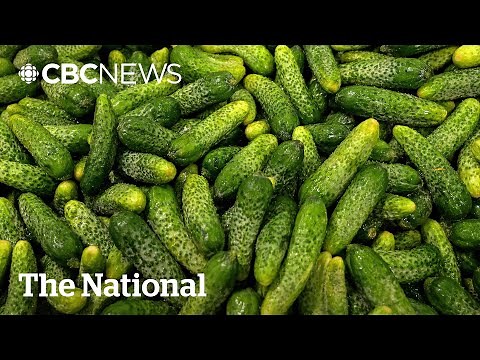 Why does it seem like there's been more food recalls lately?