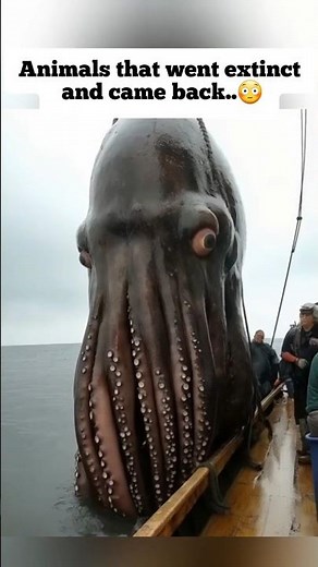 Animals that went extinct and came back part 3