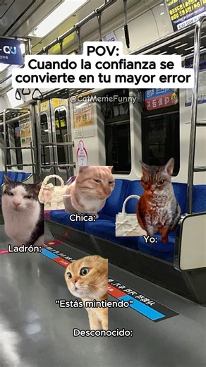 CAT MEME FUNNY 😹 Cuando la confianza se convierte en tu mayor error #relationship #relatable #cat