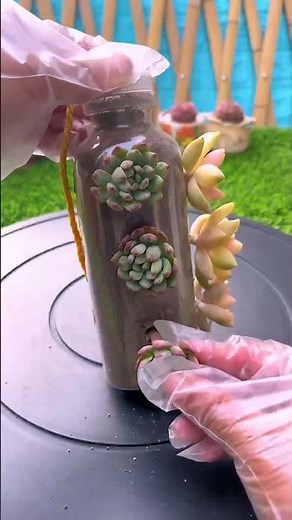 Ideas Creativas con Suculentas: Diseños de Jardines y Arreglos Únicos