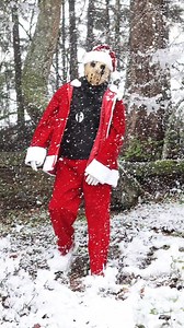 It’s beginning to look a lot like Xmas ❄️ | Diggy Graves