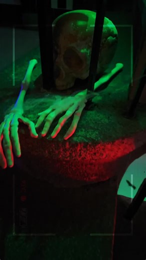 🎃 Just a few years ago, Halloween in Czechia was considered an American quirk – all plastic pumpkins and store-bought costumes. But one Prague community event has shown that Halloween is more about giving than taking. 👻 Founded in 2017 by journalist-turned-inclusion trainer Dinah Richter-Spritzer, Trick-or-Treat for Charity began as a small neighborhood walk for her children and their friends. Today, it is a citywide event that attracts hundreds of Czech and international families. Last year, 
