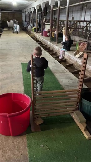 Daphne & Tiffany were getting some reps in on the high jump. I think we found our next rabbit hopper, get it Beau! #tetzlaffstinseltown #farmlife #bunny