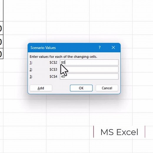 MS Excel Scenario Manager