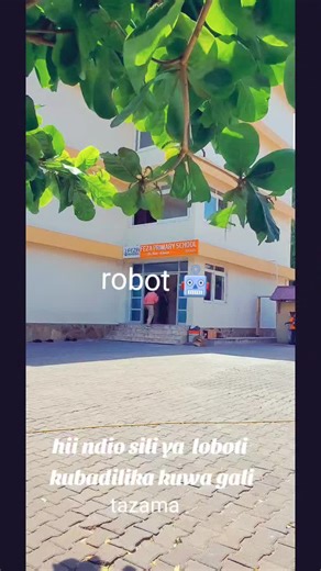 Exploring African Robotics: Waka Tanzania, Kenya, and Rwanda