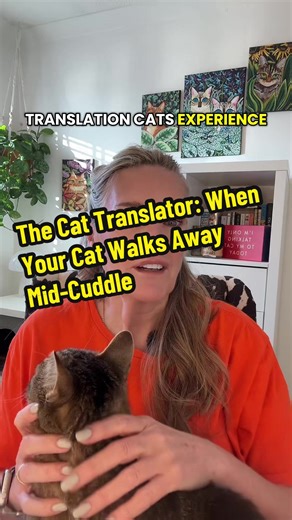 If your cat walks away while you’re cuddling, this is not rejection here’s the real translation CatCommunication #CatLove #CatBehaviorExpert #FelineBodyLanguage #catparent