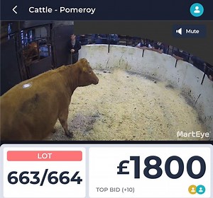 More from Pomeroy Mart, Get involved... https://app.marteye.ie/auctions/4hTCpWg16UtSE9ENsTH6 | MartEye