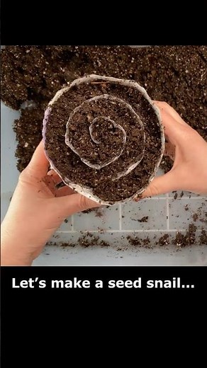 Easy Seed Snail Roll for Beginners! #diygarden