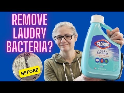 TESTED! Does Clorox Laundry Sanitizer Remove Bacteria ?! - VIEWER REQUEST!