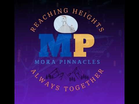 Day 01 | Fundamentals of Programming | Ashen Deelaka | Mora Pinnacles