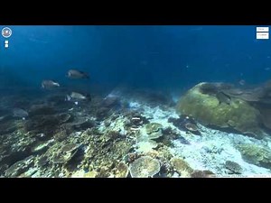 Google Maps: Check out the Ocean