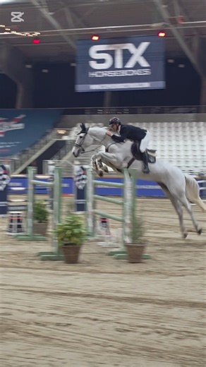 Ruitershop Ciba 🐴 on Instagram: "Focused. Balanced. Connected. Powered by Amerigo. 🐎 @amerigo_saddles_official #amerigosaddles #jumping #horses #showjumping"