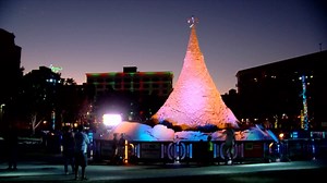 2.6K views · 39 reactions | Say farewell to Sandi the Tree until next year! Tonight was her last night in West Palm Beach. | CBS 12 News | Facebook