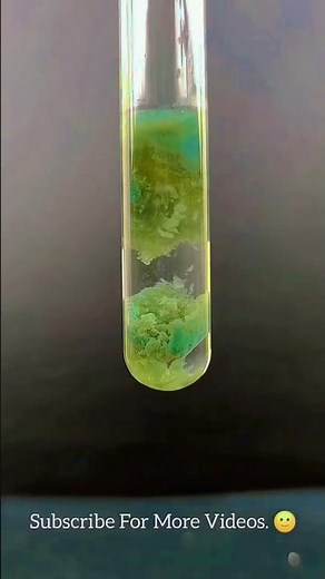 A dirty green ppt of iron(II) hydroxide (Fe(OH)₂) forms.The solution may look slightly cloudy.
