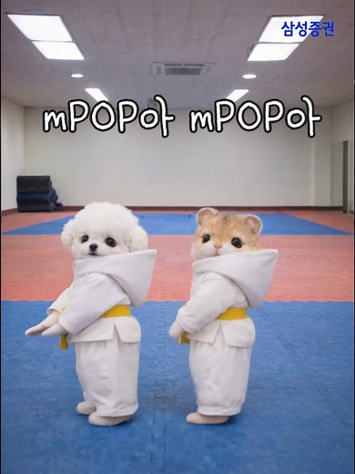 mPOP아: 냉철한 투자 판단의 기술