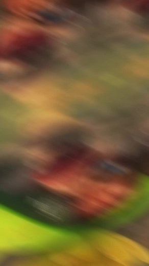 Ice Age Eyepatch Animal: Buck