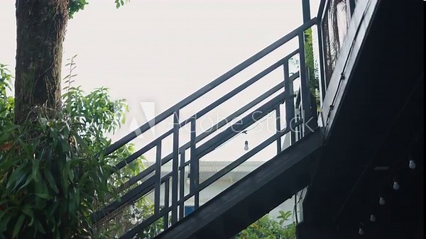 young asian teenager girl in short skirt and blue dress with smartphone in hand climbing wooden ladder in garden