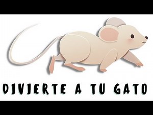 Ratas Para Gatos 1 HORA - 🐭Juego con Ratones Reales 🐭- Movimiento Rápido y Lento - Con Ruidos