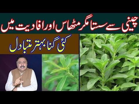 Stevia vs Sugar | Is Stevia a Better Alternative to Sugar