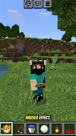 The Minecraft Effect You Can Get in ONLY One Way #minecraft #minecraftfacts #gaming