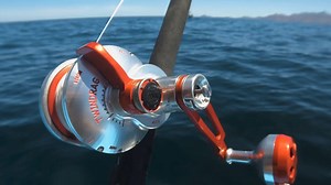 230 reactions | Accurate TwinDrag® Valiant reels are the perfect weapon of choice, from the BV-300 for inshore species to the BV2-800 for fishing nighttime Bluefin tuna on the jig. Lightweight, smooth, and powerful, built to put fish in the boat. | Accurate Fishing | Facebook