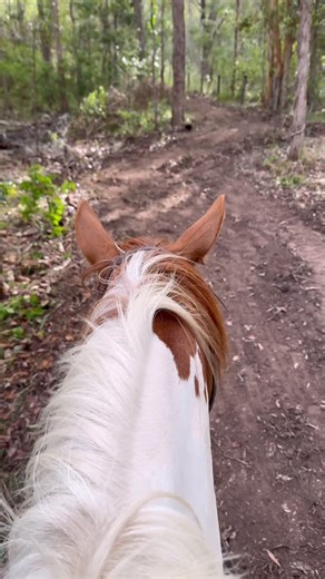 Impromptu stroll with my best buddy and our girls Daphnee & Bambi 🥰 #horseriding #horselove #bestfriends #blessed #lovethem | Horses with Holly