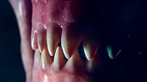 6.4M views | Phoenix Point on Reels | Facebook