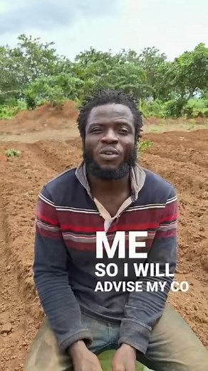 Kojo Bismark, a farmer from Ghana, shares his experience with our recently launched VeggieTap Africa App. With VeggieTap Africa, learn basic and advanced vegetable farming techniques! It's easy to navigate, available in six local languages - Amharic, English, French, Hausa, Portuguese, and Swahili - it's perfect for farmers and enthusiasts of any skill level. Download it now from the Android Play Store: https://rb.gy/5ziyl4 Learn offline and you can share the application via Bluetooth and phone 