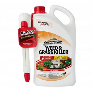 Reviews for Spectracide Weed and Grass Killer 1 gal. AccuShot Sprayer | Pg 1 - The Home Depot