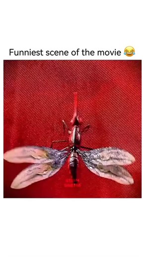 Us movie | Title: Evolution (2001) Plot Summary A meteor crashes into the Arizona desert, carrying extraterrestrial organisms that evolve at an... | Instagram