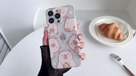 FLIRACON Cute Cartoon Capybaras Clear Soft Phone Case Compatible with iPhone Case (Clear,for iPhone 16 Pro)