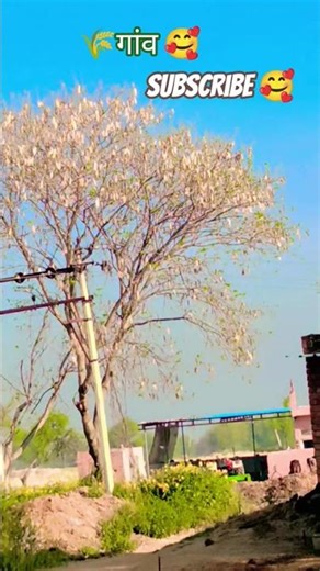 🌾✨👳 welcome in my village🥰 गांव की सुबह #trending #vairalvideo #shortvideo #video