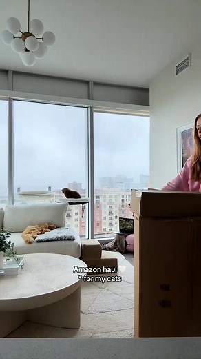 some comfy things for them lol ! #amazonhaul #amazonhaul #600 | Hopesgroo | Facebook