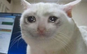 Samsung morning flower 1 hour